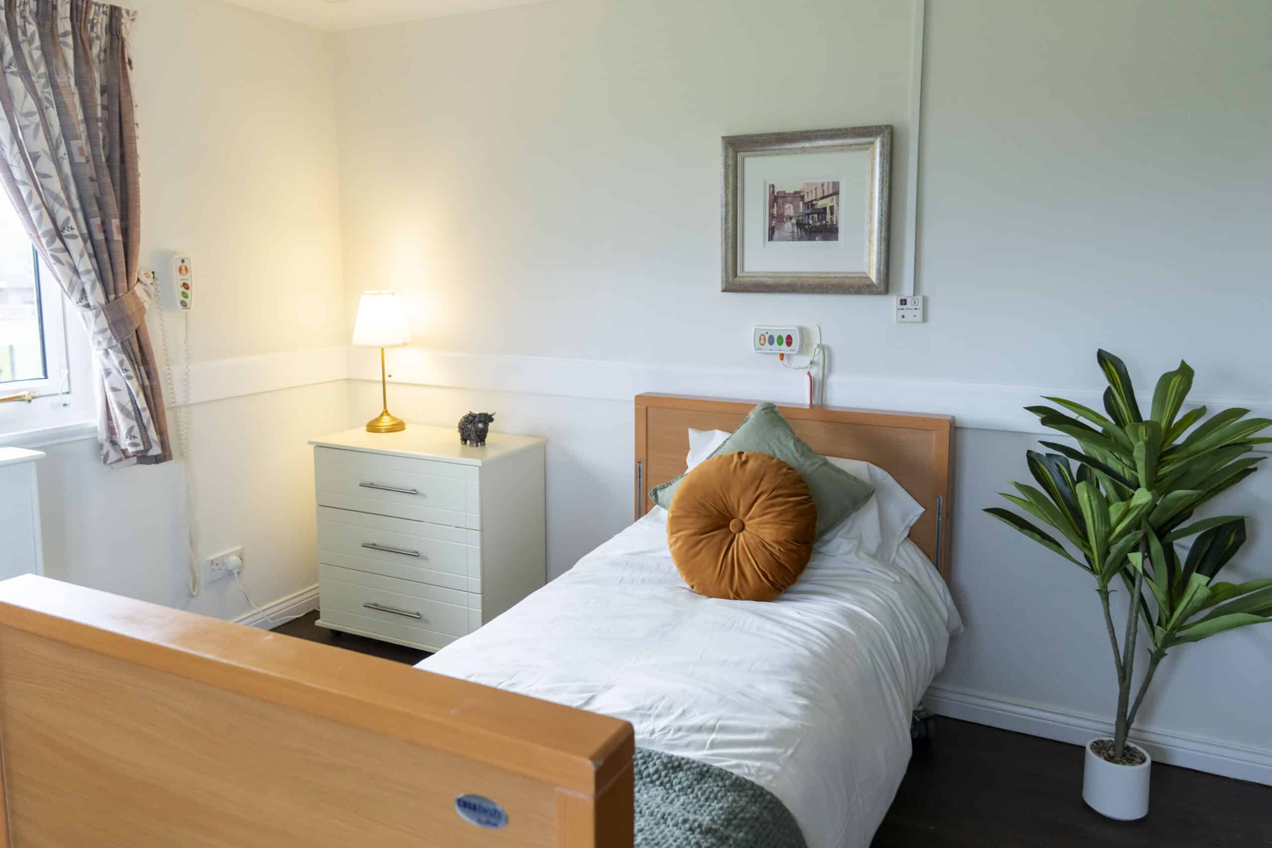 Cozy single bedroom with bed, bedside table, lamp, and plant at Avonhaugh.