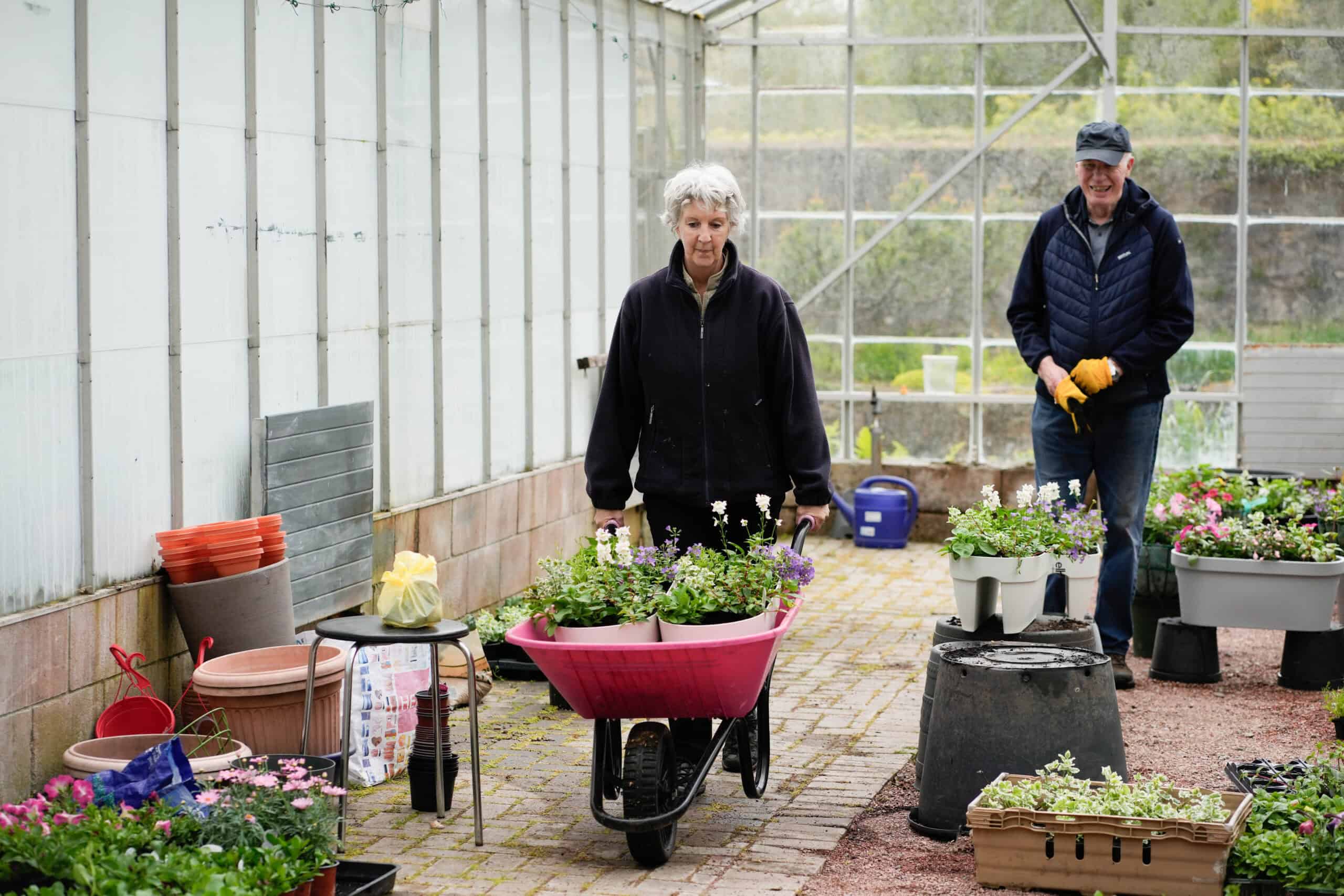Two people gardening in a greenhouse with plants and gardening tools.