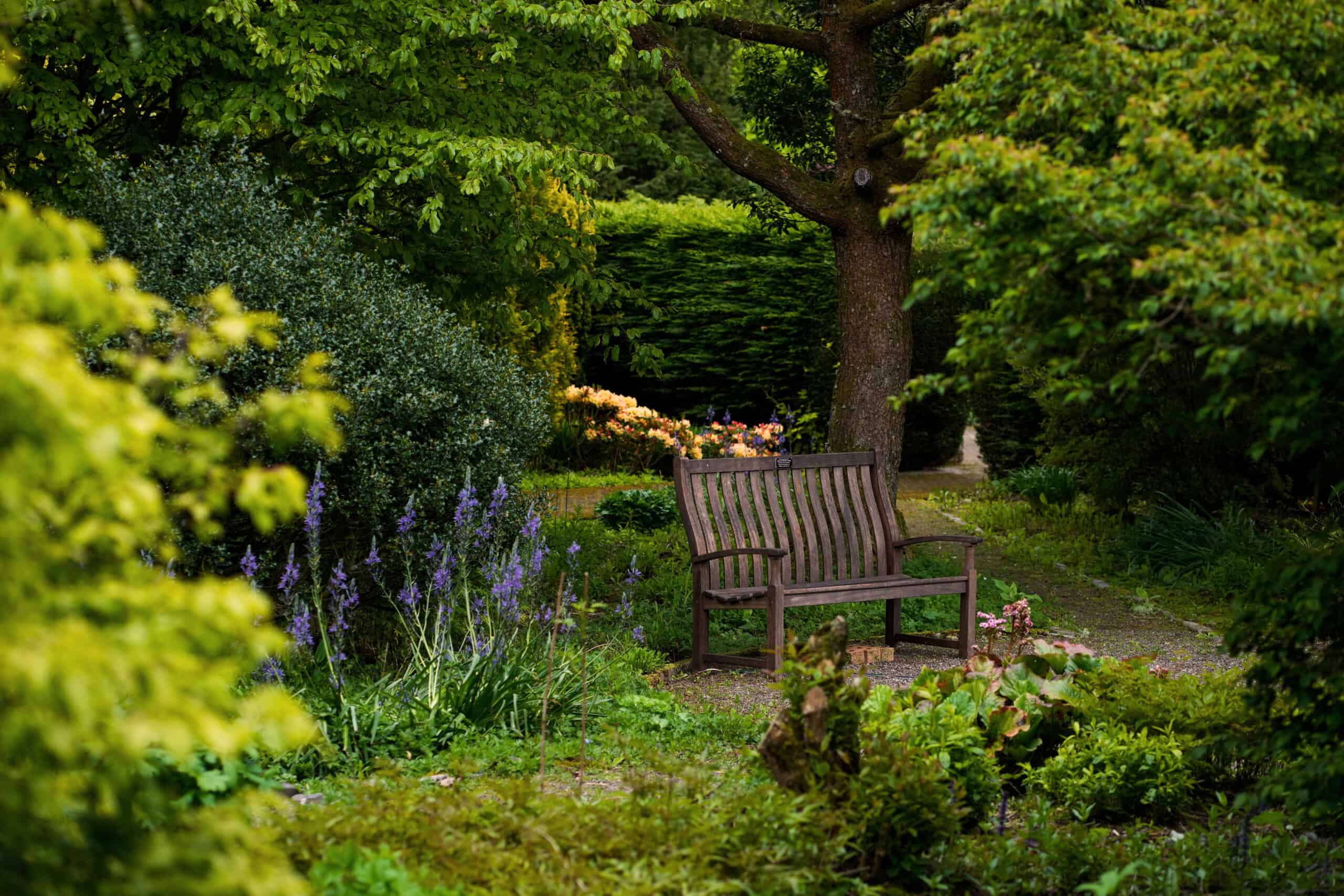 Peaceful garden with wooden bench surrounded by lush greenery and colourful flowers.